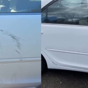 Bolígrafo Antirrayones Carfix™ photo review